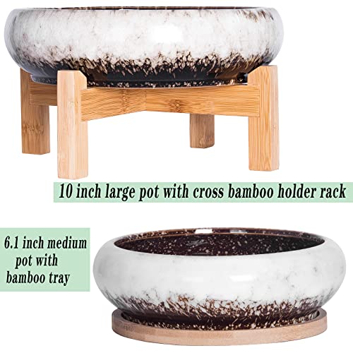 ARTKETTY Succulent Pots with Drainage, Large Succulent Planter with Stand and Saucer Shallow Bonsai Pots Ceramic Cactus Flower Planter Pot for Indoor Plants (7.3 and 10'') - Image 2
