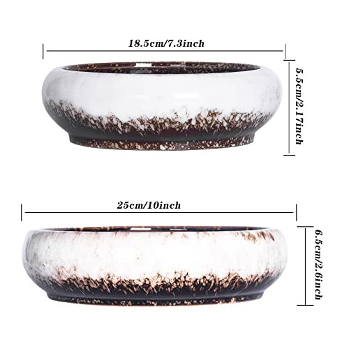 ARTKETTY Succulent Pots with Drainage, Large Succulent Planter with Stand and Saucer Shallow Bonsai Pots Ceramic Cactus Flower Planter Pot for Indoor Plants (7.3 and 10'') - Image 5