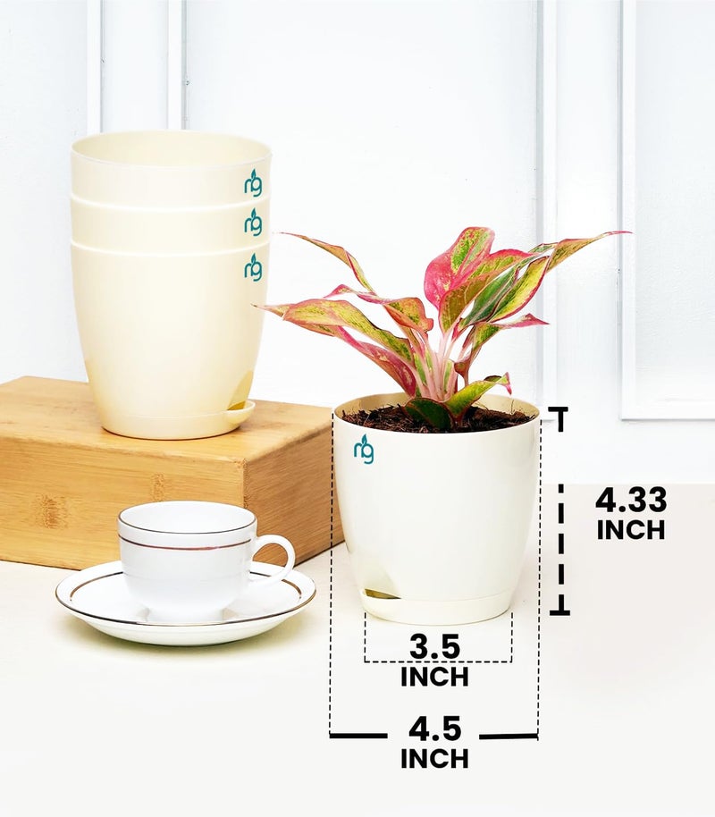 Nurturing Green® Combo of 6 Self Watering Flower Pots for Plants | Plastic Plant Pots | Planter Pots for Home, Indoor Living Room,Garden (Color: Ivory, Size: 11.5cm x 11cm Each) - Image 3