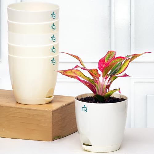Nurturing Green® Combo of 6 Self Watering Flower Pots for Plants | Plastic Plant Pots | Planter Pots for Home, Indoor Living Room,Garden (Color: Ivory, Size: 11.5cm x 11cm Each) - Image 1