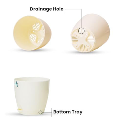 Nurturing Green® Combo of 6 Self Watering Flower Pots for Plants | Plastic Plant Pots | Planter Pots for Home, Indoor Living Room,Garden (Color: Ivory, Size: 11.5cm x 11cm Each) - Image 2