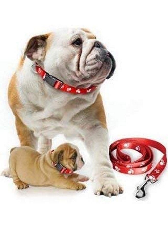 10Mm Adjustable Nylon Paw Print Design Cute Collar And Leash Set With Bell For Dogs & Cat - (Orange) - Image 4