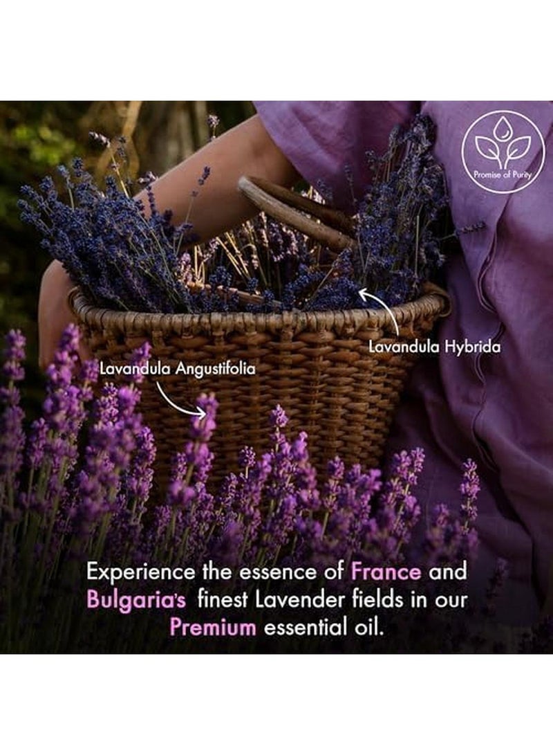 Majestic Pure Lavender Essential Oil - Huge 118 ml with Glass Dropper | 100% Pure and Natural Lavender Oil | Premium Grade Essential Oils for Diffusers, Skin, Aromatherapy, Massage - Image 3