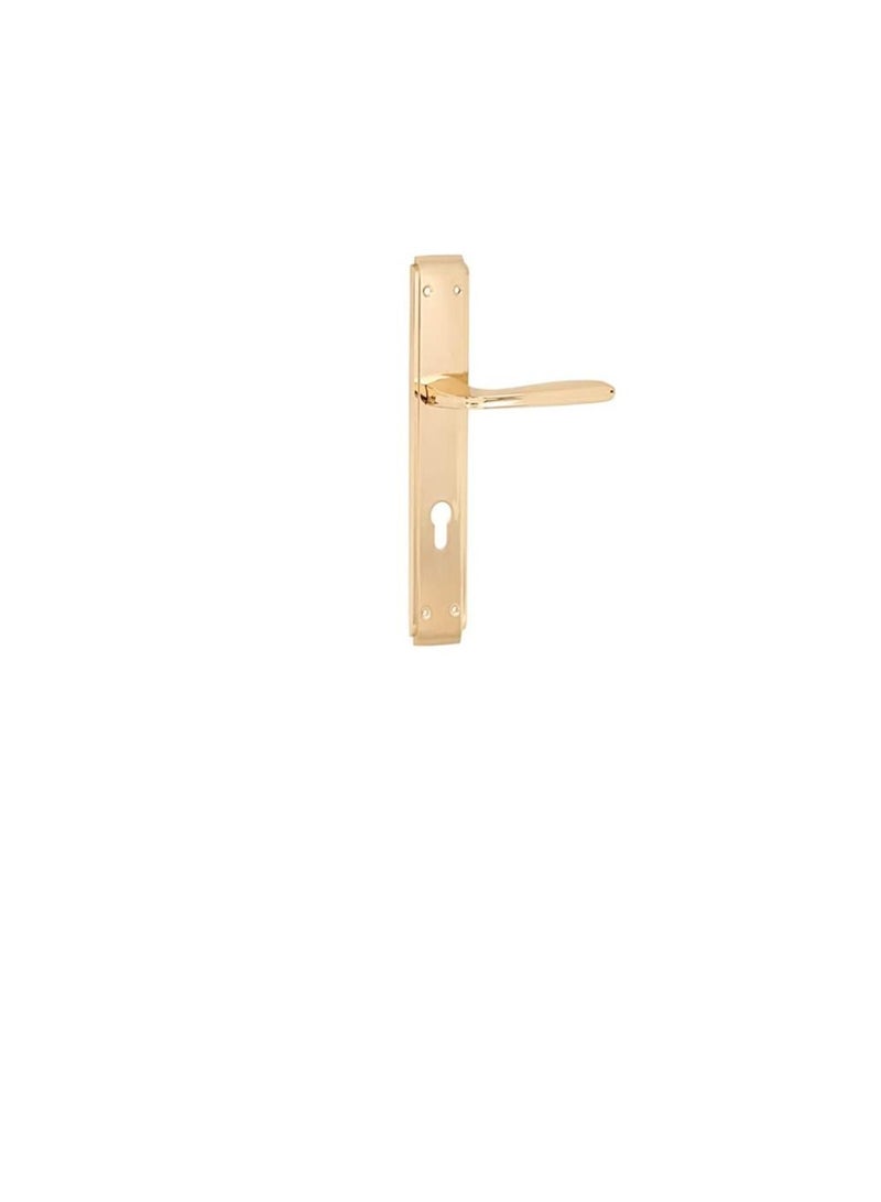 ROBUSTLINE Door Handle | Zinc Material | Rose Gold Color | Robustline - Image 2