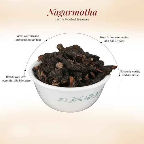DR ARYA Nagarmotha Root 100gm (Raw) | Nagarmotha | Cyperus Rotundus Rhizome | Cyperus Rotundus Rhizome - Nut Sedge Root - Pure & Natural (100 Grams) - Image 4