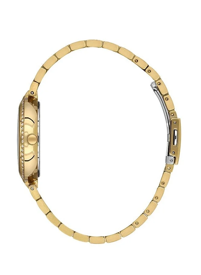 Bigotti Milano Bigotti - Raffinato Women Watch | Stainless Steel Band |Brass Case | Analog | Round Dial | Mineral Glass | Japanese Quartz | Water Resistant 30 Meters