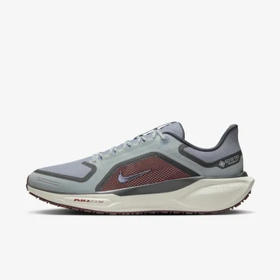 Nike Men's Pegasus 41 GORE-TEX Road Running Shoes