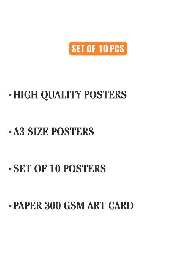 iberry's Motivational Quote Posters for Office and Student Room Walls |motivational posters (Size 28 x 43 CM, Pack of 10)-B(White) - Image 4