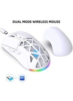 White26