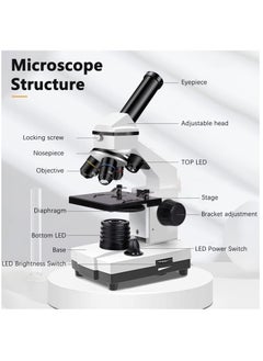 KASTWAVE 100X-2000X Microscopes for Kids Students Adults, Powerful Biological Microscopes for School Laboratory Home Education,with Microscope Slides Set, Phone Adapter  - Image 4