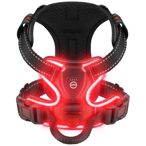 Villabliss Light Up Dog Harness LED Dog Harness Rechargeable for Night Walking Three Lighting Modes Flashing for More Than 20 Hours Oxford ClothRedMedium - Image 1