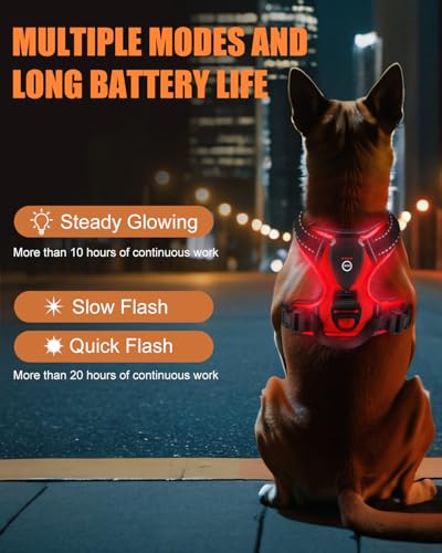 Villabliss Light Up Dog Harness LED Dog Harness Rechargeable for Night Walking Three Lighting Modes Flashing for More Than 20 Hours Oxford ClothRedMedium - Image 3