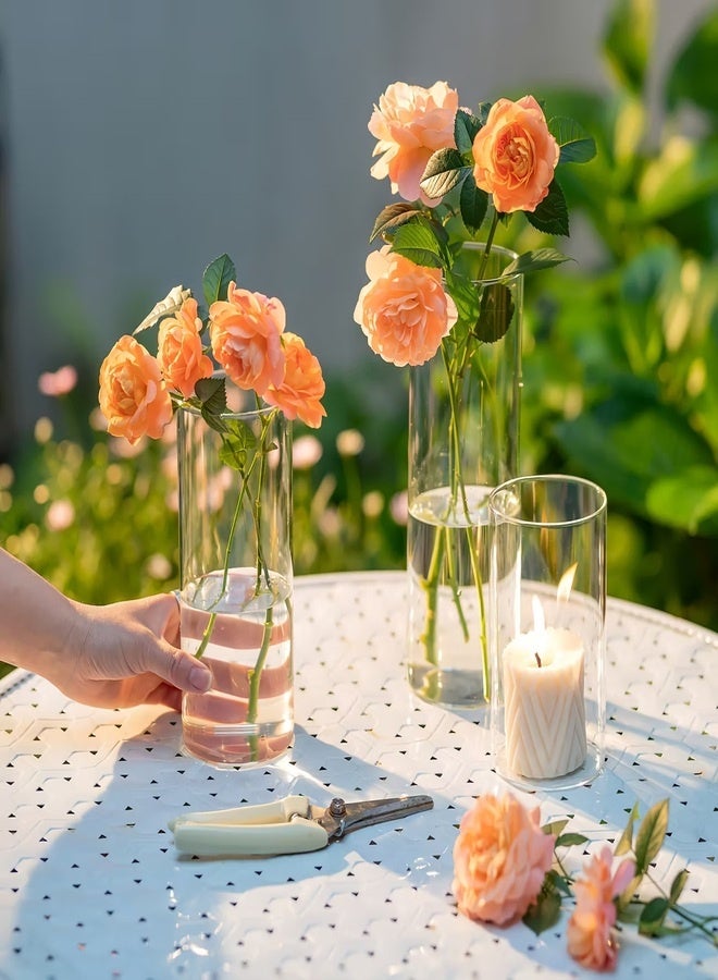 Cylinder Glass Vase (Set of 3, Clear) - Image 1