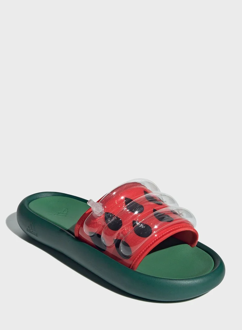 Adidas Zplaash