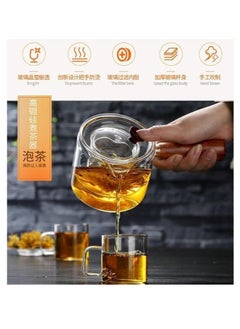 Spaceshoop Glass Teapot with Wooden Handle, Japanese Style Side Handle Design Tea Maker (500ml)  - Image 5