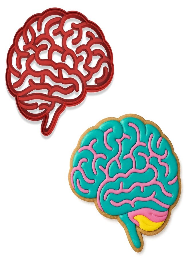 Mighty Gadget Human Brain Cookie Cutter & Stamp - 4x3.42 Inches, Anatomy Baking Tool for Halloween & Science Themes (Random Color) - Image 1