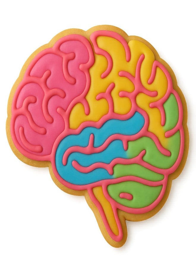 Mighty Gadget Human Brain Cookie Cutter & Stamp - 4x3.42 Inches, Anatomy Baking Tool for Halloween & Science Themes (Random Color) - Image 3