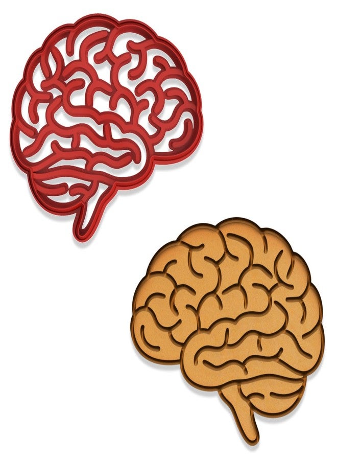 Mighty Gadget Human Brain Cookie Cutter & Stamp - 4x3.42 Inches, Anatomy Baking Tool for Halloween & Science Themes (Random Color) - Image 2