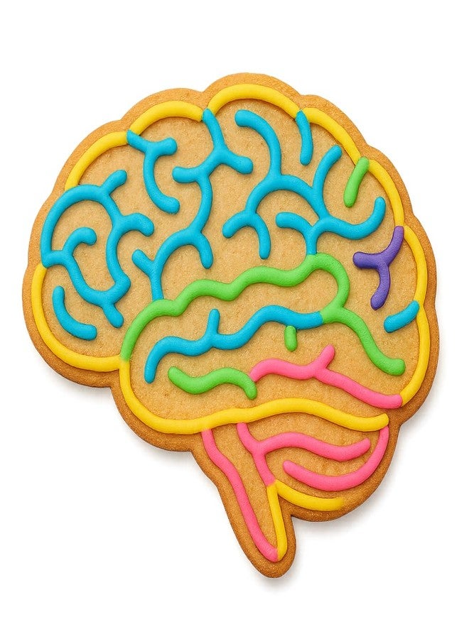 Mighty Gadget Human Brain Cookie Cutter & Stamp - 4x3.42 Inches, Anatomy Baking Tool for Halloween & Science Themes (Random Color) - Image 4