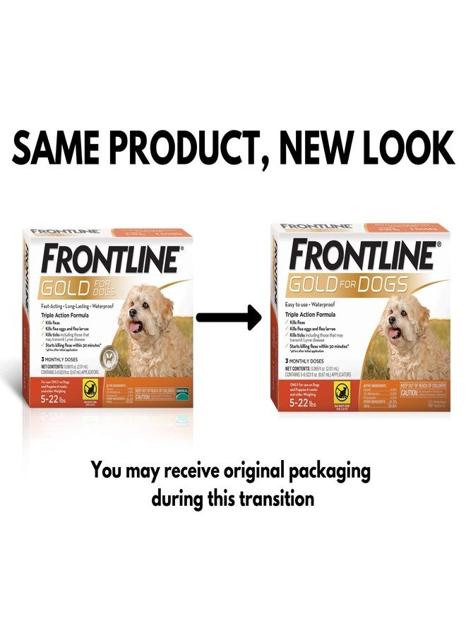 FRONTLINE Gold Flea & Tick Treatment for Small Dogs Up to 5 to 22 lbs., Pack of 3 - Image 2