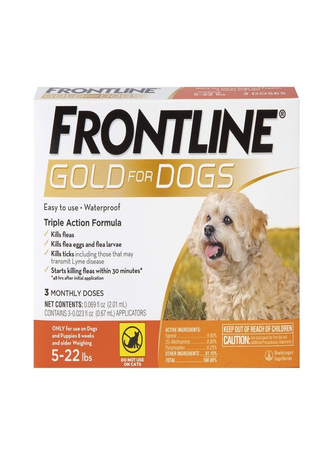 FRONTLINE Gold Flea & Tick Treatment for Small Dogs Up to 5 to 22 lbs., Pack of 3 - Image 1
