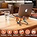 FUNiOi Remote Control Robot Dinosaur Kids Toys Idea for Boys 57 810 812 to Play on The Desktop Cute Small Realistic RC Walking Dinosaurs with Sounds and Lights - Image 4