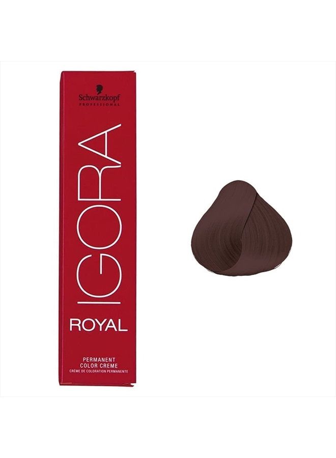 Schwarzkopf صبغة شعر احترافية Igora Royal دائمة، 5-68، بني فاتح أحمر شوكولاتة، 60 جرام  - Image 1