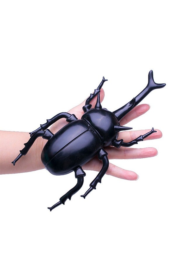 مجسمات حشرات واقعية، نموذج حشرة خنفساء، لعبة حيوانية معرفية، موسيقى قرصة بلاستيكية صناعية - Image 2