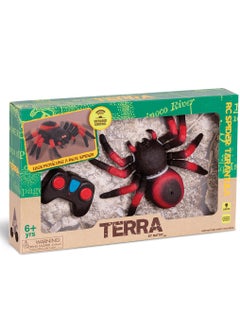 PlayandDream Tarantula Spider RC Toy  - Image 4