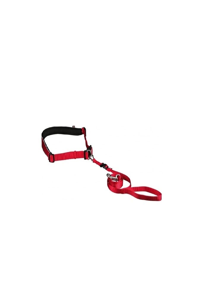 تريكسي حزام خصر Trixie مع مقود أحمر للكلاب - Image 1