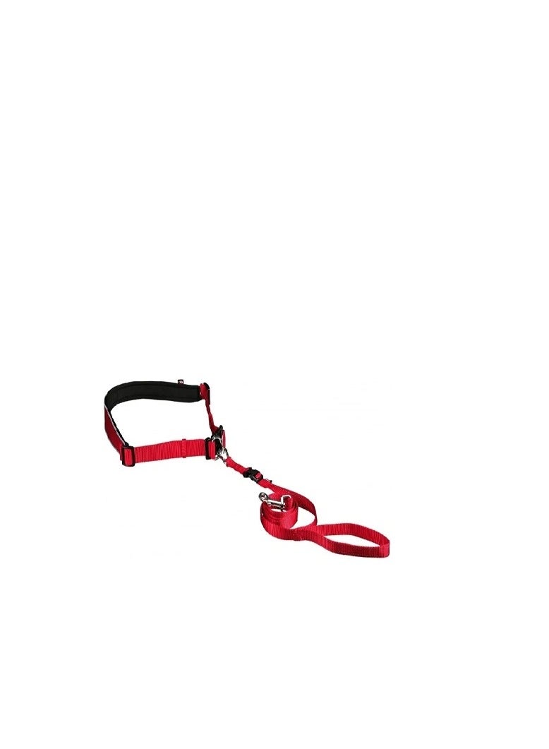 تريكسي حزام خصر Trixie مع مقود أحمر للكلاب - Image 2