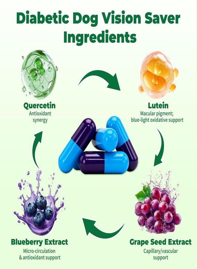 VivaElixir Diabetic Dog Vision Support Supplement– Alpha-Lipoic Acid, Lutein, Taurine & Blueberry Extract | Antioxidants Supports Eye Health & Protects Vision in Diabetic Dogs -90 Capsules - Image 3