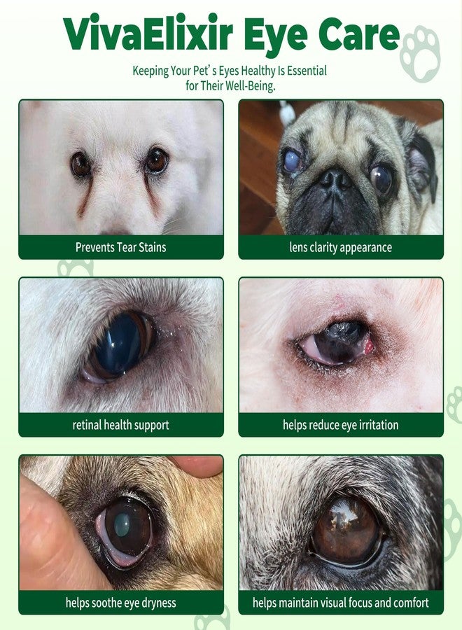 VivaElixir Diabetic Dog Vision Support Supplement– Alpha-Lipoic Acid, Lutein, Taurine & Blueberry Extract | Antioxidants Supports Eye Health & Protects Vision in Diabetic Dogs -90 Capsules - Image 4