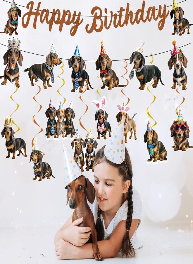 InIsaJace 10Pcs Dachshund Birthday Party Decorations Weiner Dog Banner with Hanging Swirls Decor Dachshund Dog Party Supplies Puppy Bday Decoration - Image 4