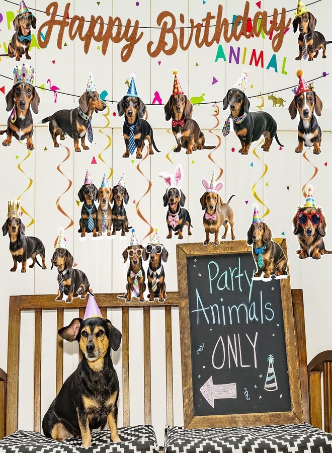 InIsaJace 10Pcs Dachshund Birthday Party Decorations Weiner Dog Banner with Hanging Swirls Decor Dachshund Dog Party Supplies Puppy Bday Decoration - Image 5