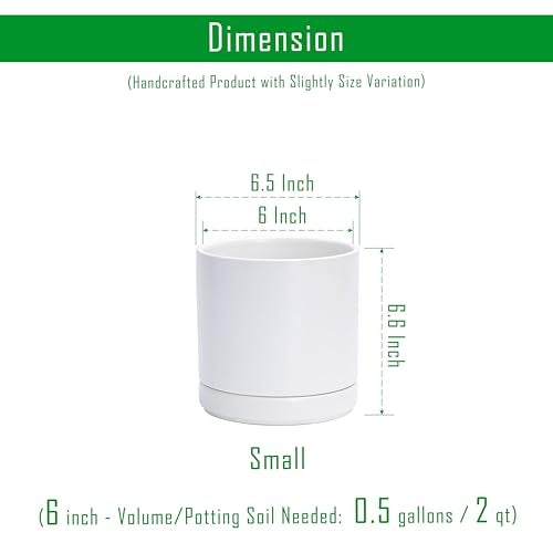 D'vine Dev Set of 2 Plants Pots, 6.5 Inch Ceramic Planter Pot for Plants with Drainage Hole and Saucer, White, 94-V-C-1 - Image 3