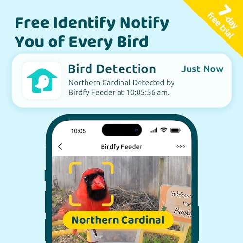 NETVUE by Birdfy Pro Smart Bird Feeder with Camera Solar Panel, Instant Arrival Alerts, Live Stream & Night Vision for Outdoors & Backyard Hummingbird, Cardinalis & Oriole Watching, Ideal Gifts, Blue - Image 2