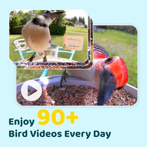 NETVUE by Birdfy Pro Smart Bird Feeder with Camera Solar Panel, Instant Arrival Alerts, Live Stream & Night Vision for Outdoors & Backyard Hummingbird, Cardinalis & Oriole Watching, Ideal Gifts, Blue - Image 3