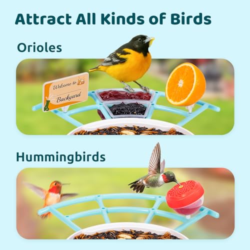 NETVUE by Birdfy Pro Smart Bird Feeder with Camera Solar Panel, Instant Arrival Alerts, Live Stream & Night Vision for Outdoors & Backyard Hummingbird, Cardinalis & Oriole Watching, Ideal Gifts, Blue - Image 5