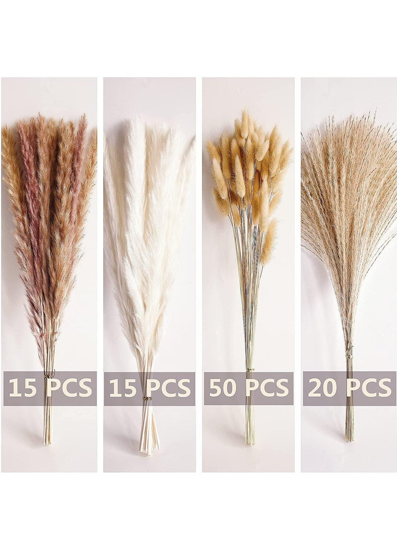 LEDIN 100 PCS Boho Pampas Grass, Naturally Dried Pompas, Pampas Grass Decor for Wedding , Boho Party Decorations, Table Decor (100 PCS)  - Image 2