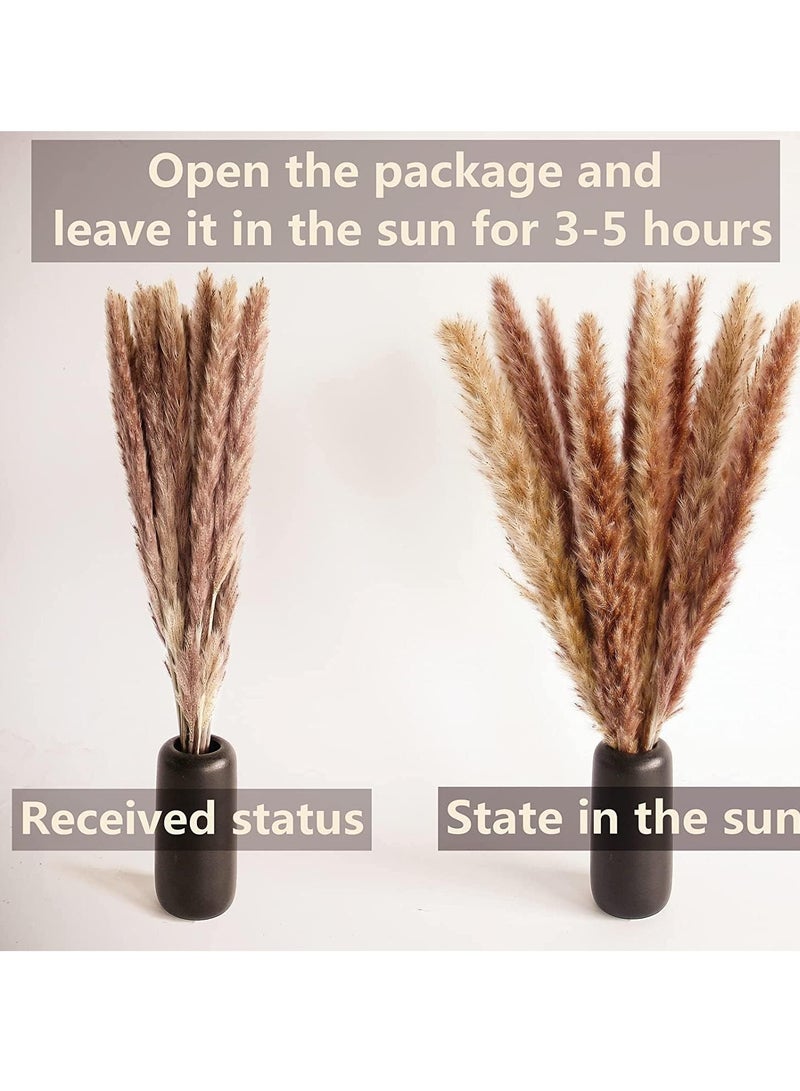 LEDIN 100 PCS Boho Pampas Grass, Naturally Dried Pompas, Pampas Grass Decor for Wedding , Boho Party Decorations, Table Decor (100 PCS)  - Image 3