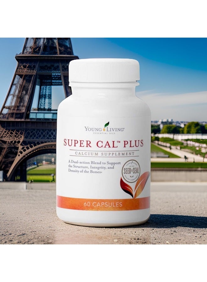 Super Cal Plus 60 Capsules | Calcium Mineral Bone Health Supplement | Synergistic Blend of Magnesium, Vitamins D & K | Essential Nutrients