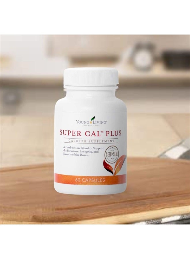 Super Cal Plus 60 Capsules | Calcium Mineral Bone Health Supplement | Synergistic Blend of Magnesium, Vitamins D & K | Essential Nutrients