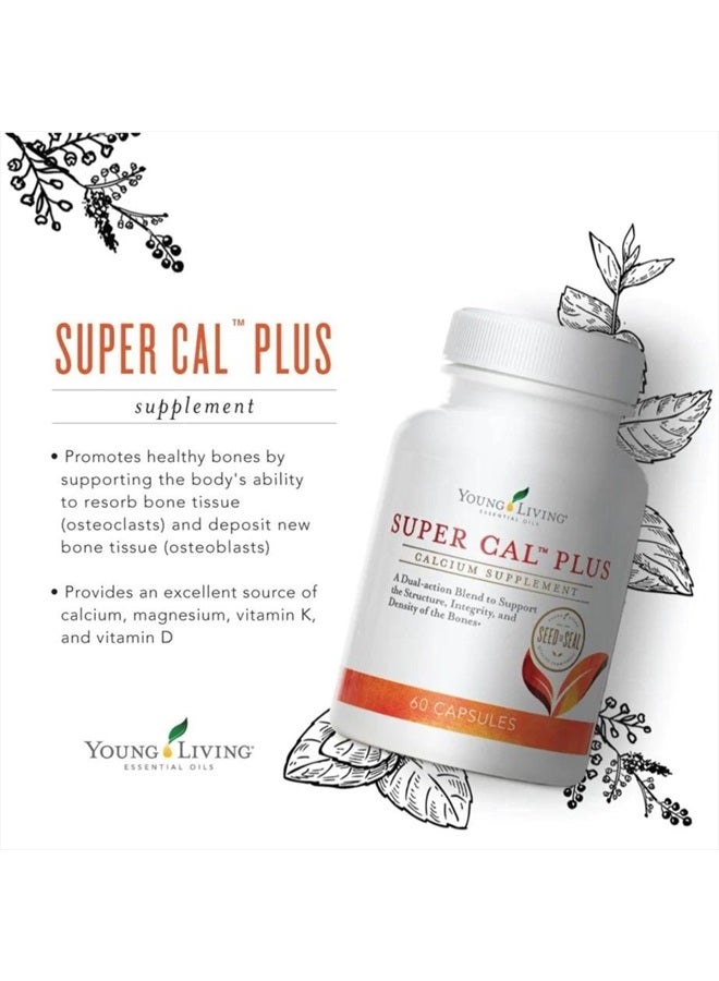 Super Cal Plus 60 Capsules | Calcium Mineral Bone Health Supplement | Synergistic Blend of Magnesium, Vitamins D & K | Essential Nutrients