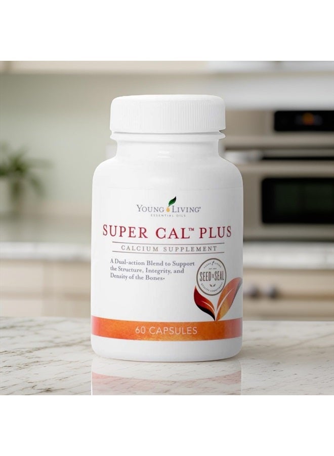 Super Cal Plus 60 Capsules | Calcium Mineral Bone Health Supplement | Synergistic Blend of Magnesium, Vitamins D & K | Essential Nutrients
