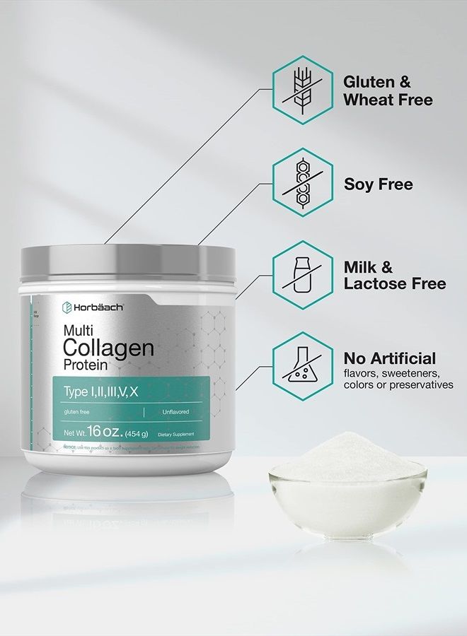 Horbäach Multi Collagen Protein Powder 16 oz | Type I, II, III, V, X | Hydrolyzed Collagen Peptide Powder | Keto & Paleo Friendly | Unflavored & Gluten Free | by Horbaach - Image 4