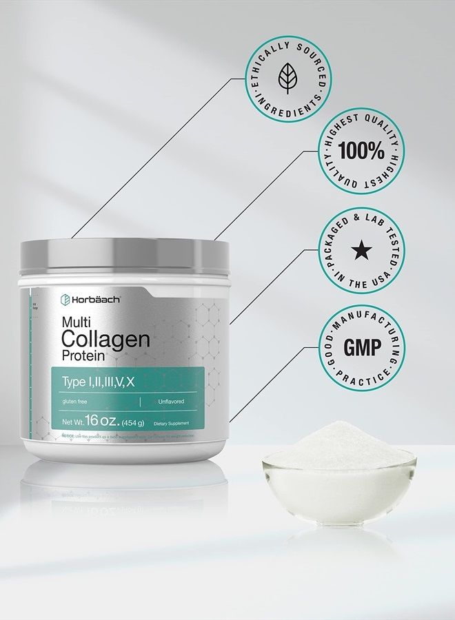 Horbäach Multi Collagen Protein Powder 16 oz | Type I, II, III, V, X | Hydrolyzed Collagen Peptide Powder | Keto & Paleo Friendly | Unflavored & Gluten Free | by Horbaach - Image 5
