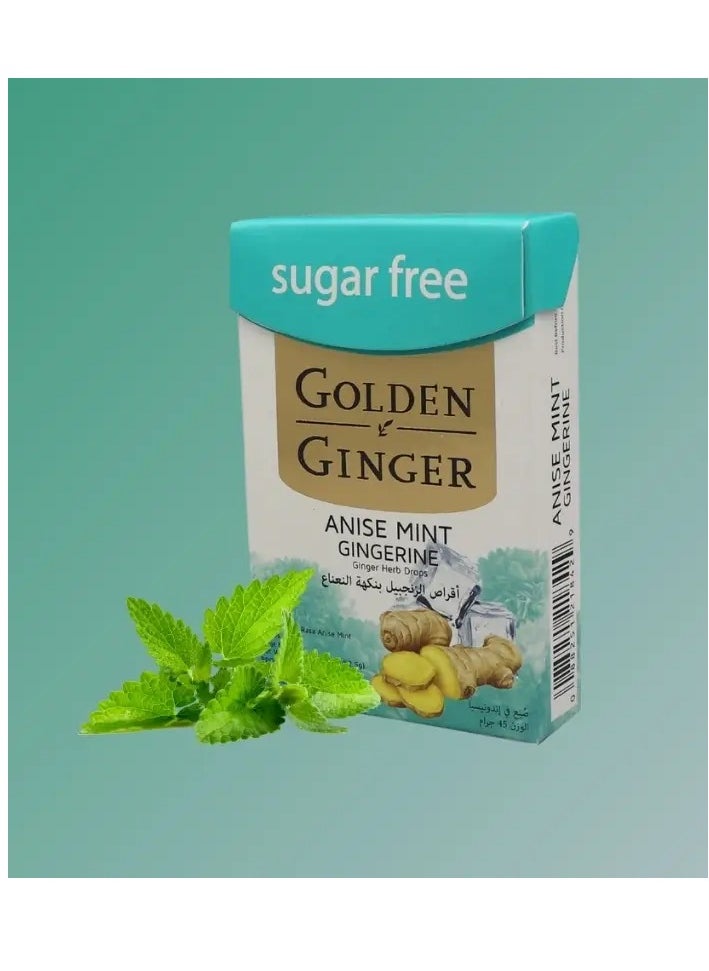 GOLDEN GINGER Ginger Lozenges Mint Flavor Sugar Free Soothing and Moisturizing Throat Lozenges - 45g  - Image 1