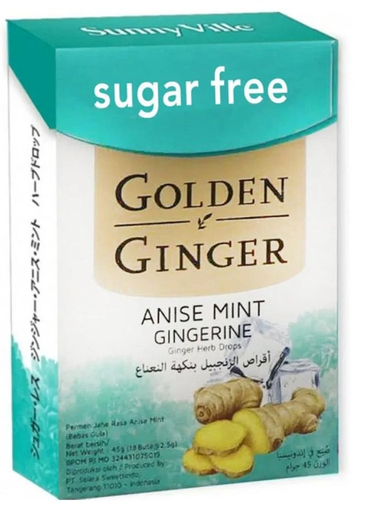 GOLDEN GINGER Ginger Lozenges Mint Flavor Sugar Free Soothing and Moisturizing Throat Lozenges - 45g  - Image 2