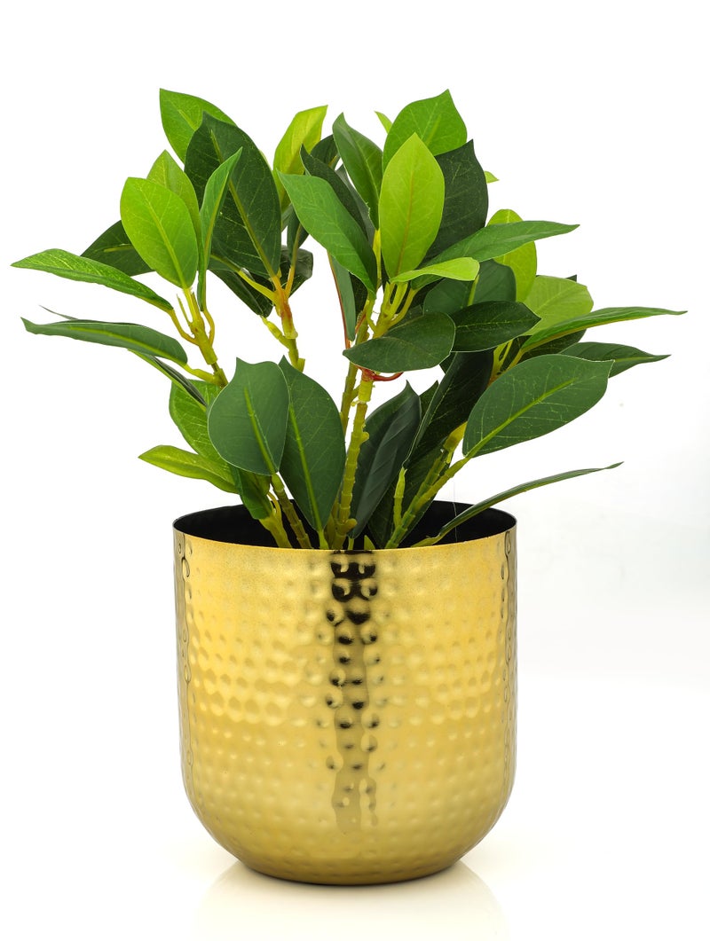 Rust & Shine Planters for Home Decor | Golden Finish Urban Lofts Planter | Aesthetic & Modern Style Flower Pots for Garden Balcony Living Room | Durable Planter for Home Office Balcony & Garden Decor - Image 1